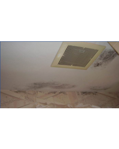 Moisture Management